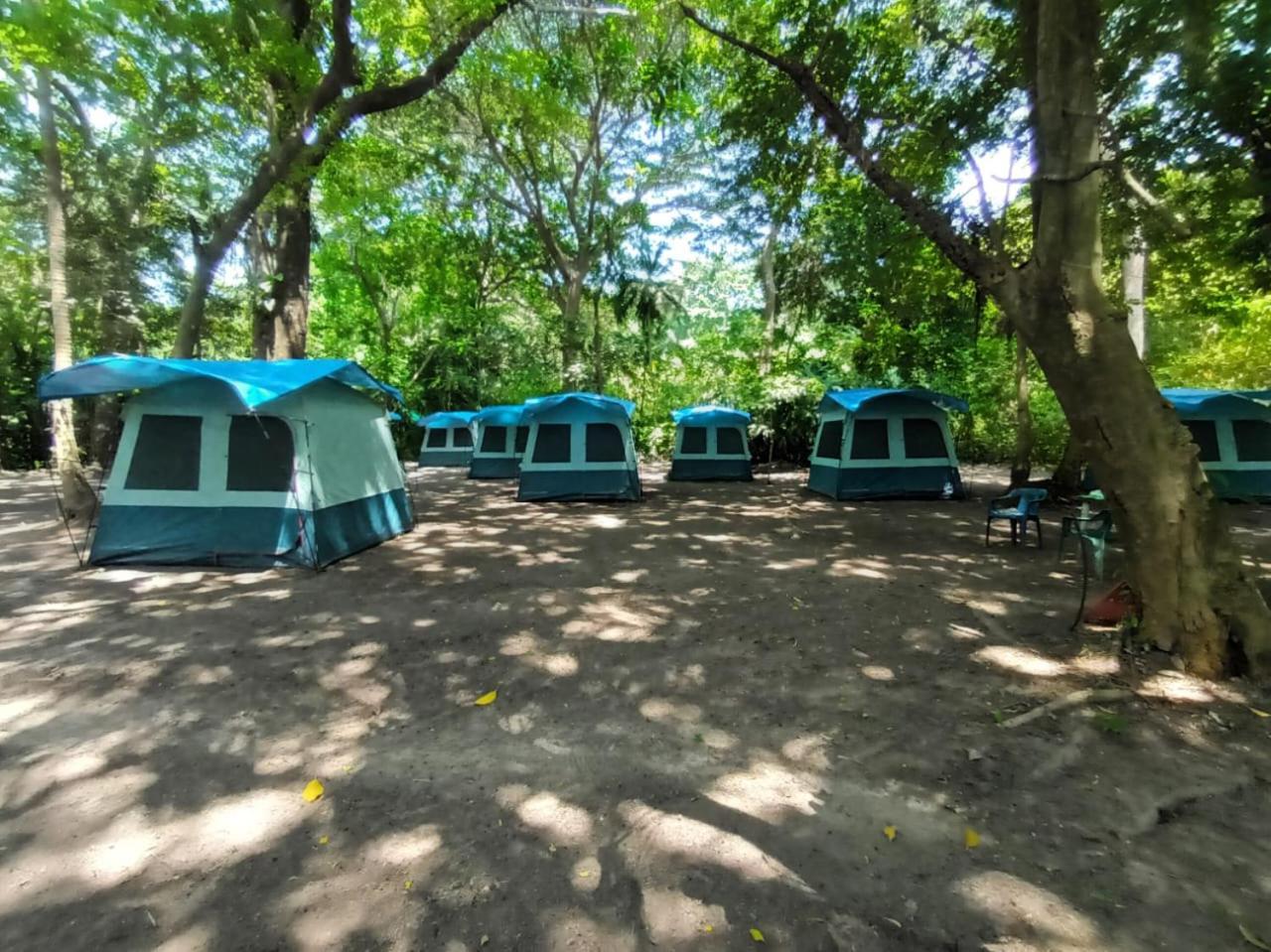 Happy Camping Arrecifes Dentro Del Parque Nacional Natural Tayrona El Coquito Exterior foto